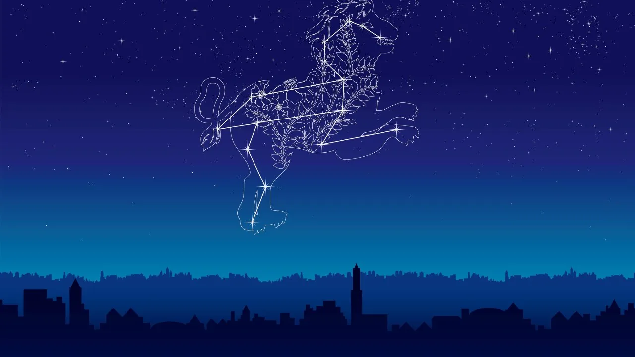 Midheaven Sign: Leo MidHeaven