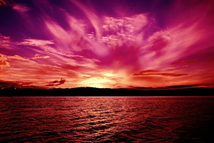Dark Pink Aura Meaning
