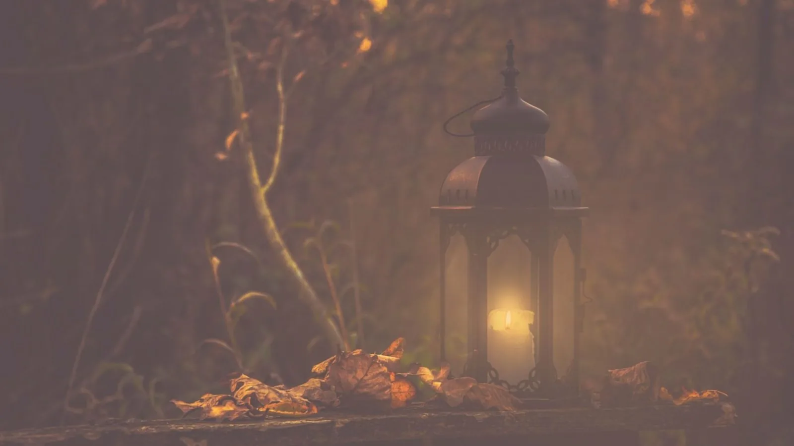 Samhain: How to Celebrate the Wheel of the Year