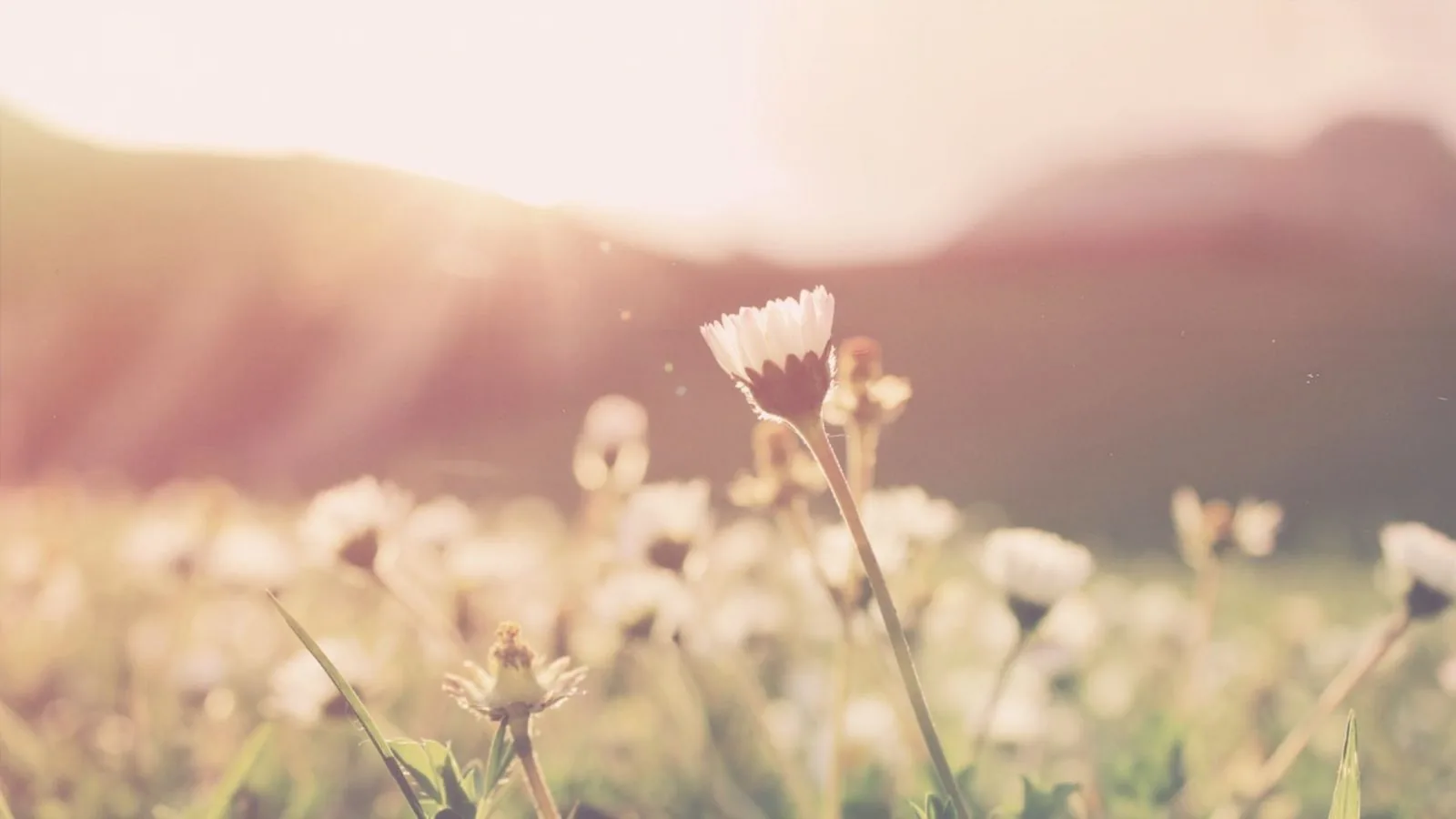 Imbolc: How to Celebrate the Wheel of the Year