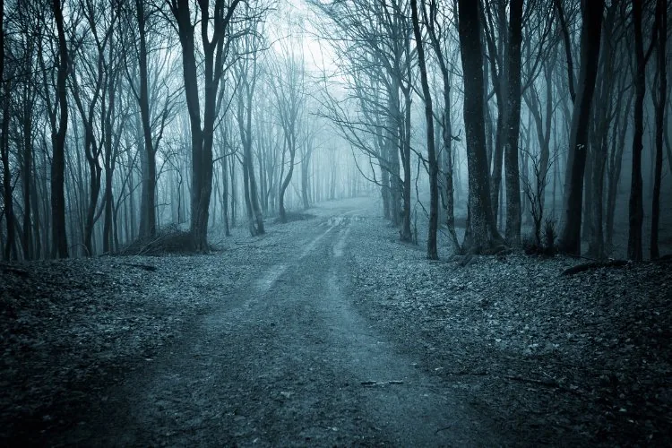 cold and dark image