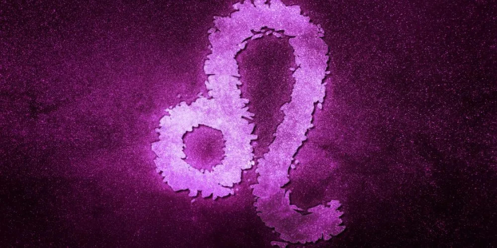 Leo Soulmate Signs