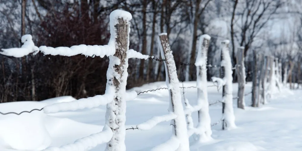 snow fence image