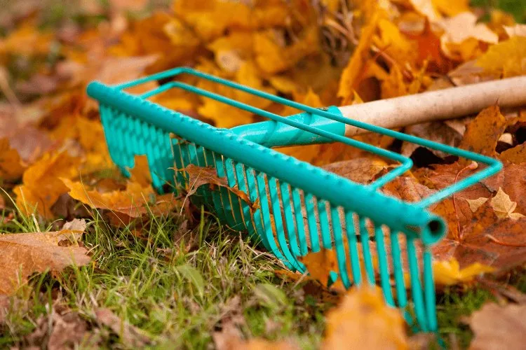 Imbolc spring cleaning 