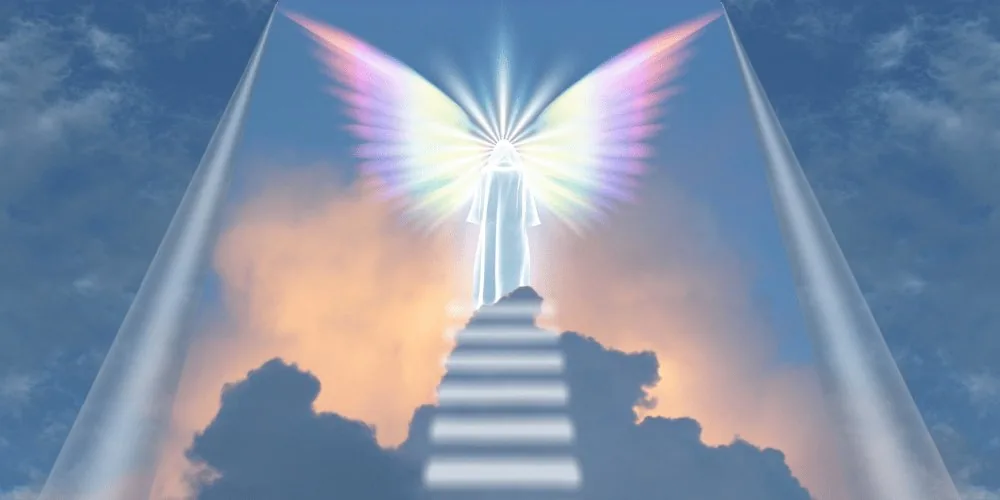 Angel