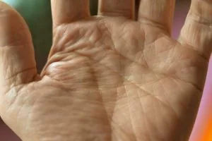 palm lines