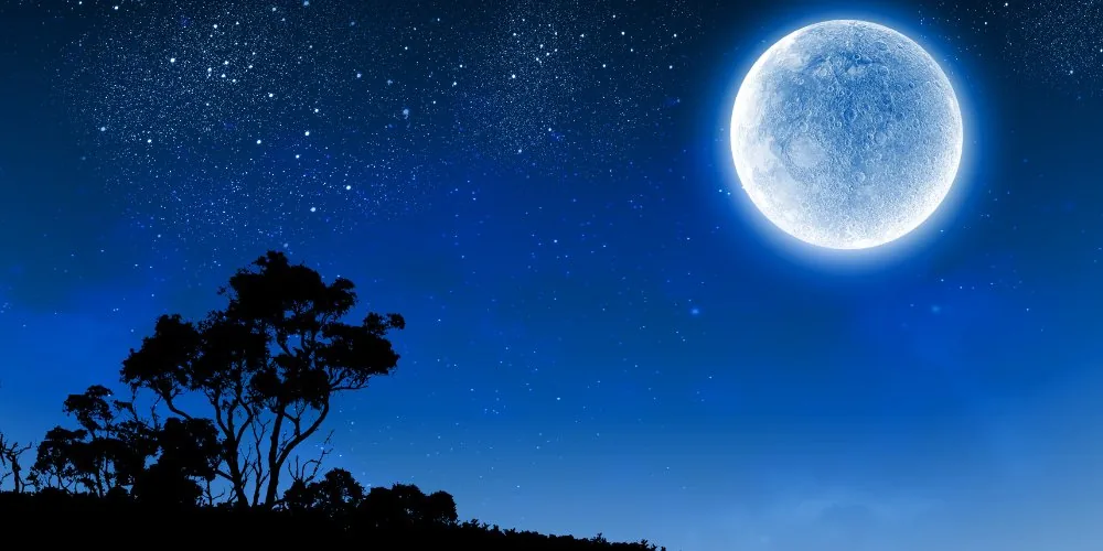 Tarot Reading for Full Moon