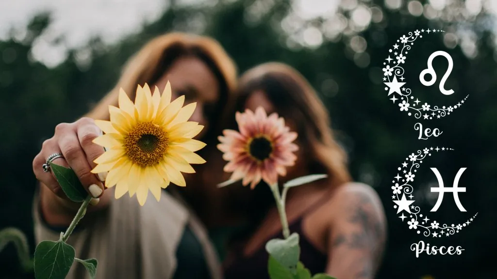 Successful Leo and Pisces Relationships