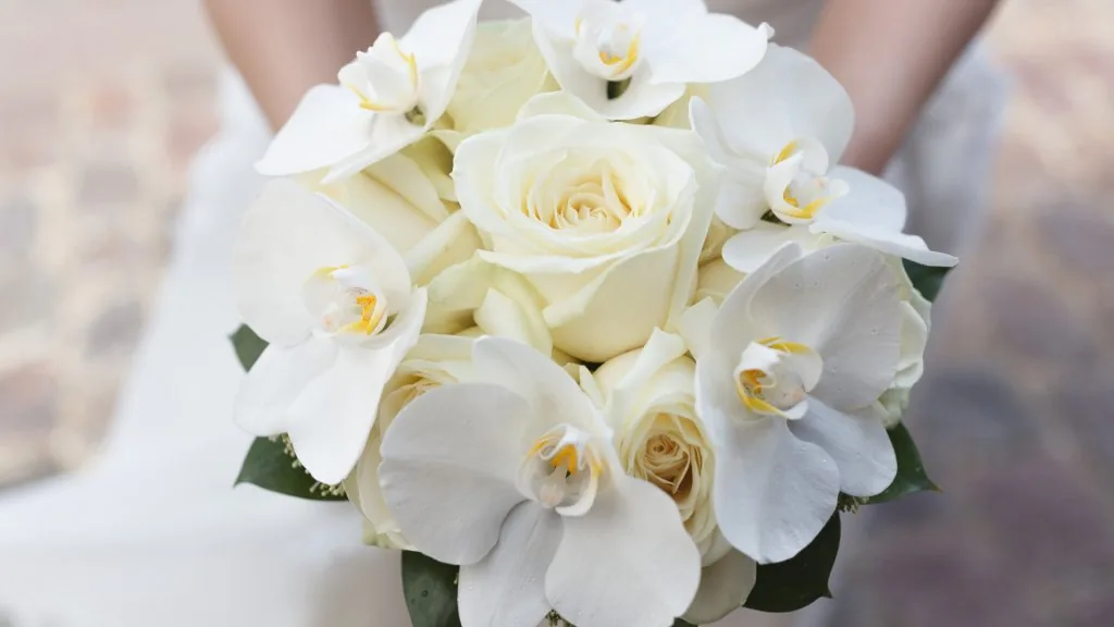 white flower meaning in a relationship