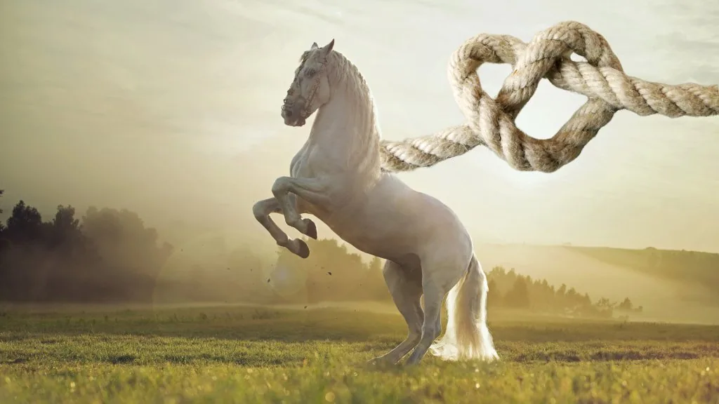 white horse meaning in relationship