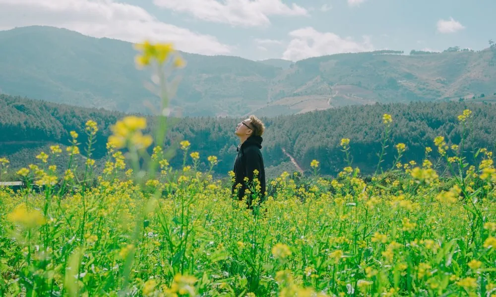 image for yellow meaning in relationship