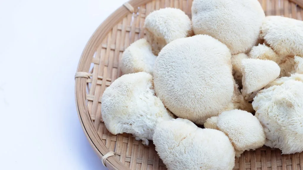 lion's mane spiritual benefits