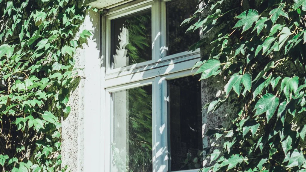 spiritual meaning of tapping on window