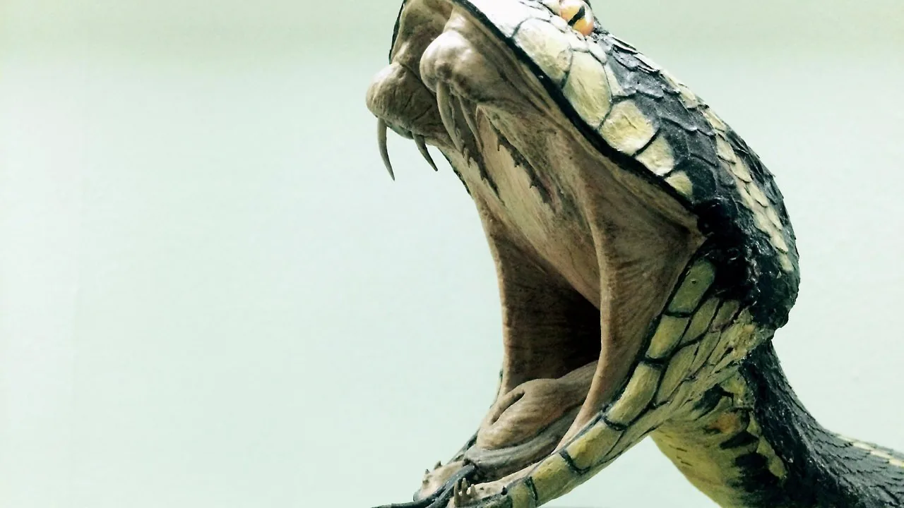 Image for Snake bite in dreams meaning hindu astrology