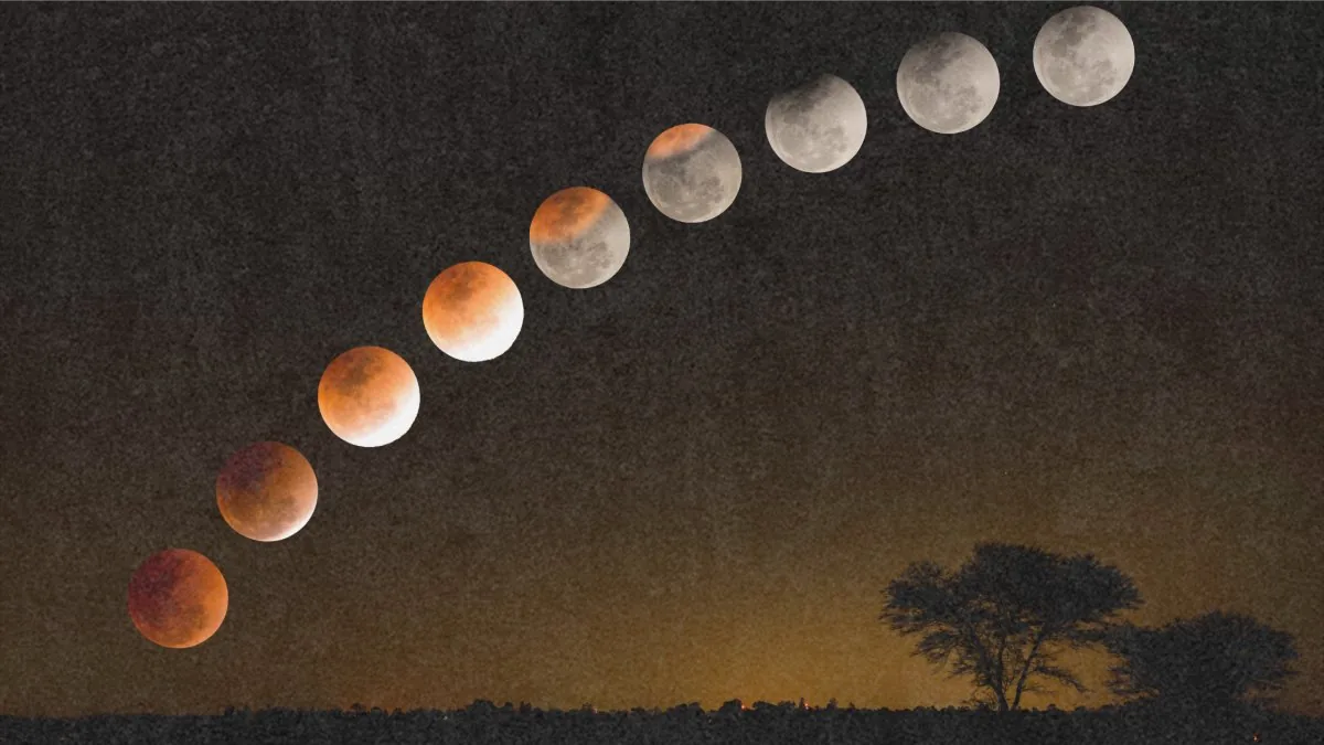 moon cycle