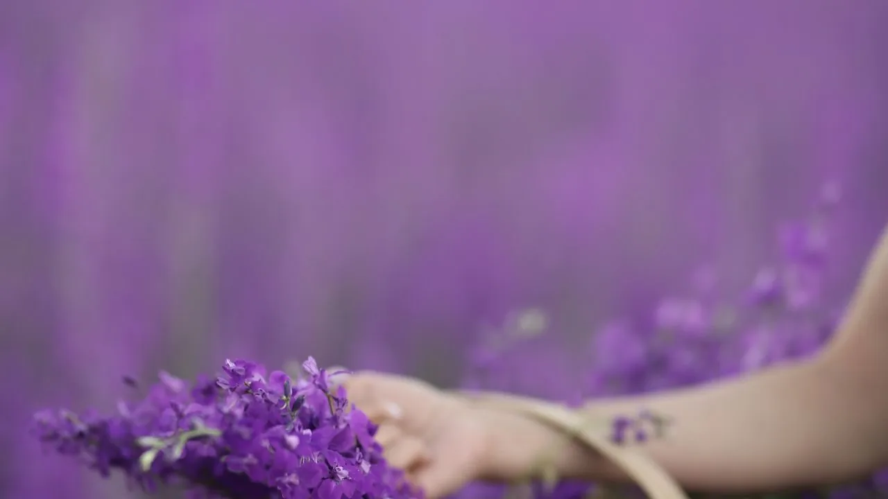 image for purple chakra meaning